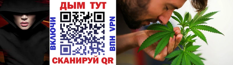 Где купить Кинешма Псилоцибиновые грибы  Кокаин  МЕТАМФЕТАМИН  Меф  Гашиш  Конопля  СК 