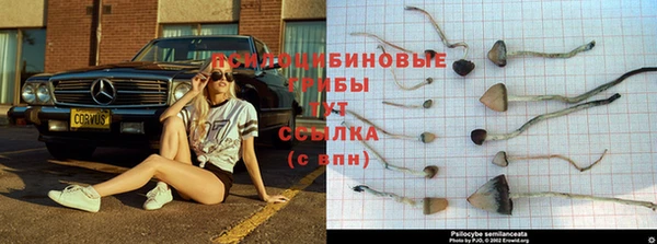 mdpv Абдулино