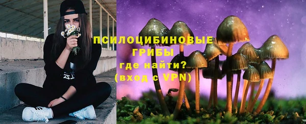 эйфоретик Абинск
