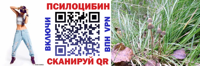 Галлюциногенные грибы прущие грибы  Кинешма 