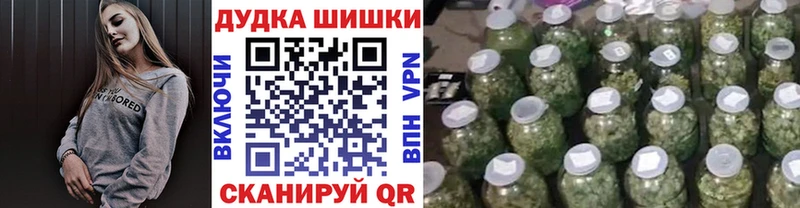 Шишки марихуана планчик  гидра как войти  Кинешма 